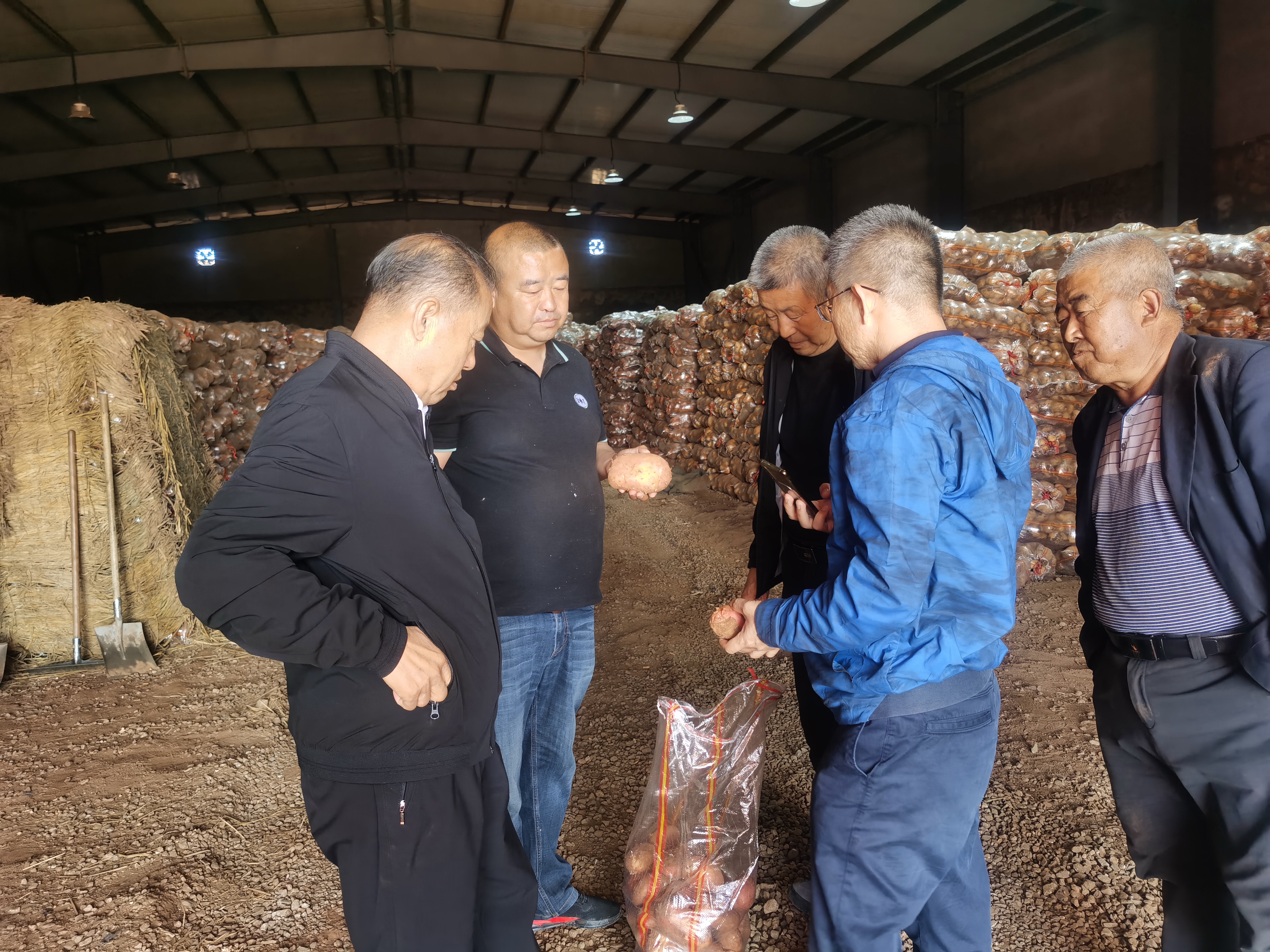 資源對接，互惠共贏 借助商協(xié)會平臺優(yōu)勢助力內(nèi)蒙古馬鈴薯 企業(yè)開拓山東市場